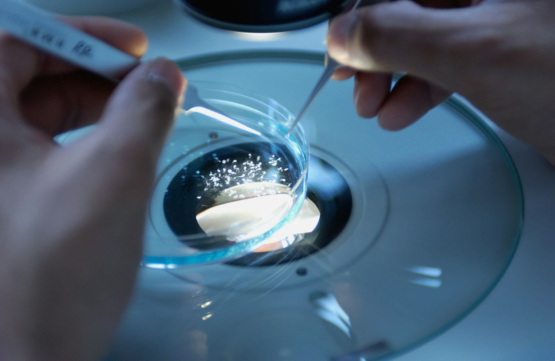 Preparing biological samples in the laboratory